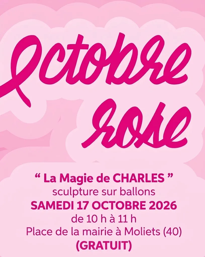 Octobre rose -Sculptures sur ballons La Magie de CHARLES - Octobre rose.